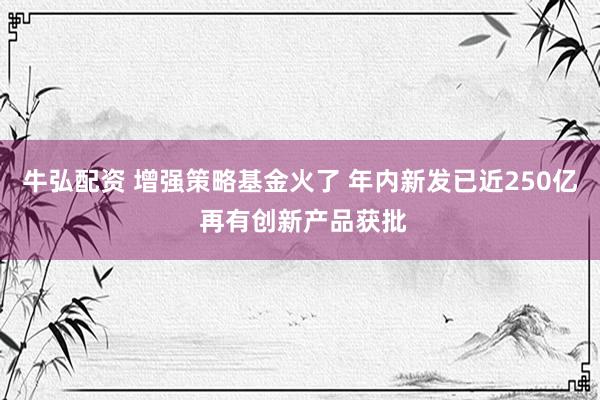 牛弘配资 增强策略基金火了 年内新发已近250亿 再有创新产品获批