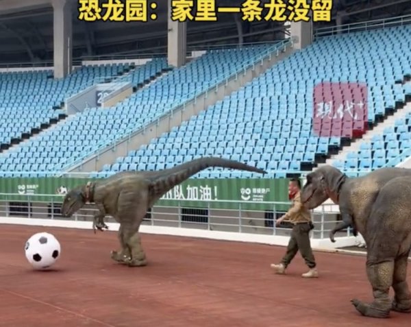 盛金缘证券 为助力常州首个奥体主场, 常州恐龙园景区“恐龙战队”集体出差